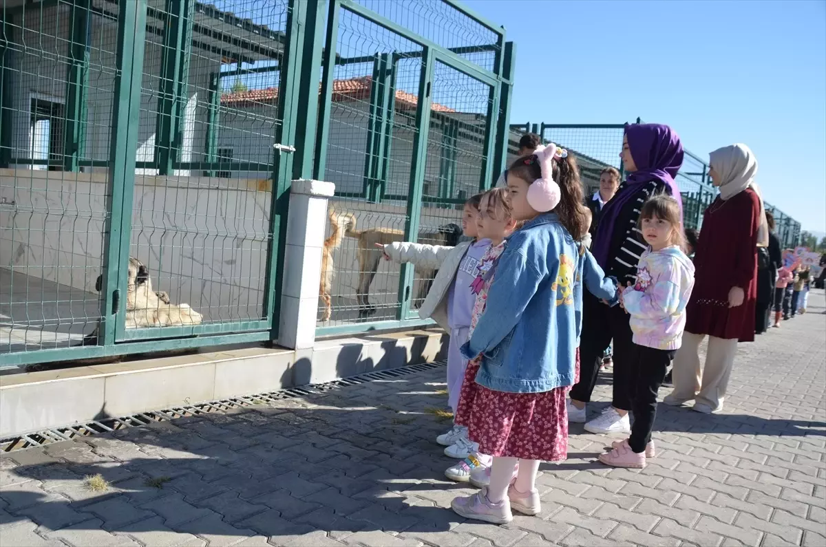 Öğrenciler Hayvanları Koruma Günü’nde Ziyarette Bulundu