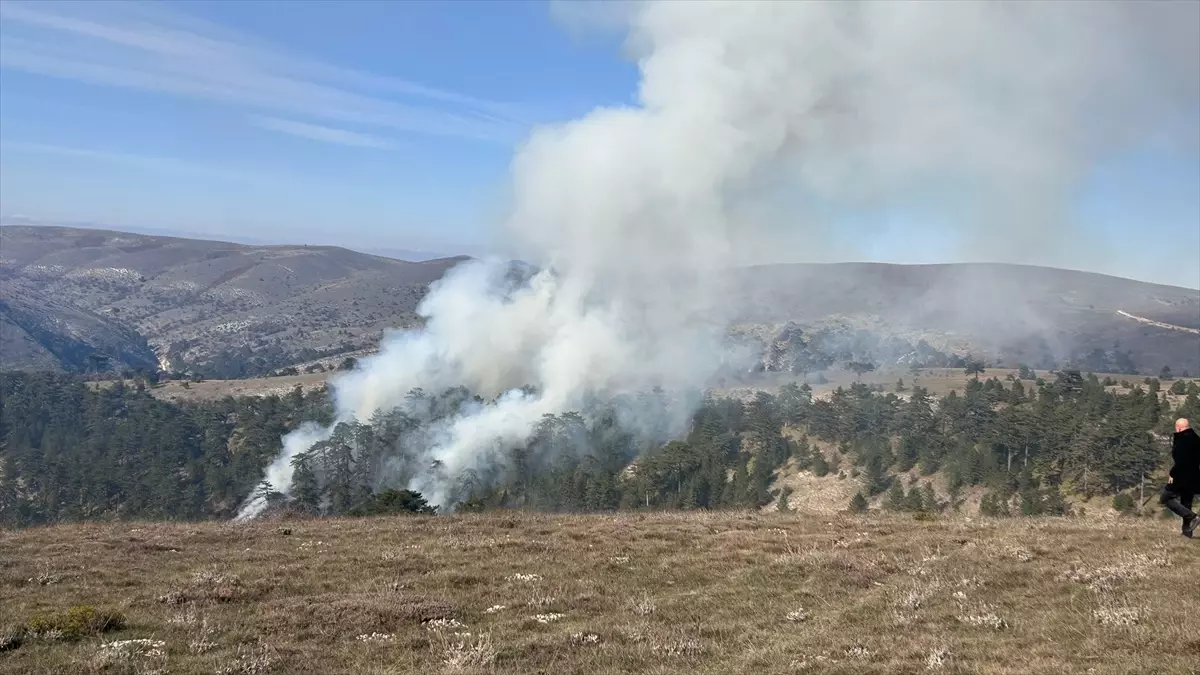 Bolu’da Orman Yangını Kontrol Altına Alındı