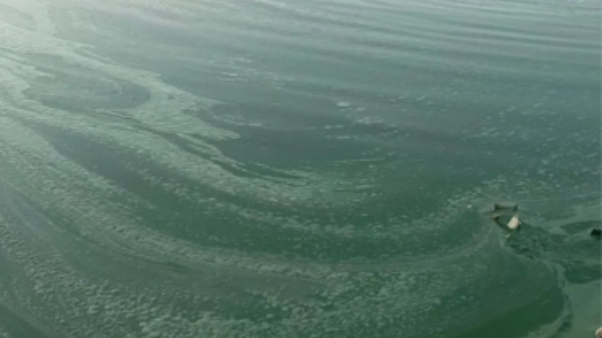 Gaziantep’te Baraj Gölü suyu yeşile döndü! Ekipler harekete geçti