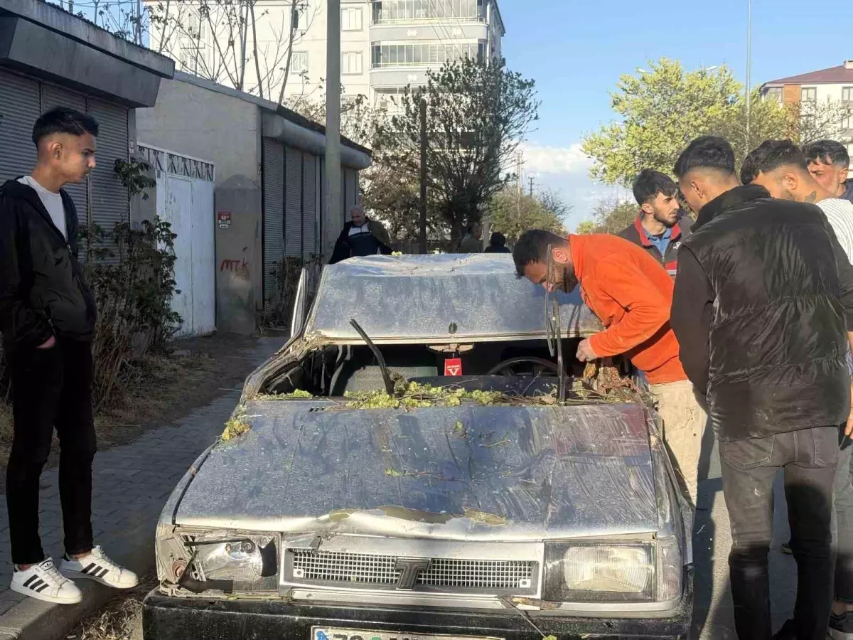 Iğdır’da Ağaç Devrildi, Sürücü Yaralandı